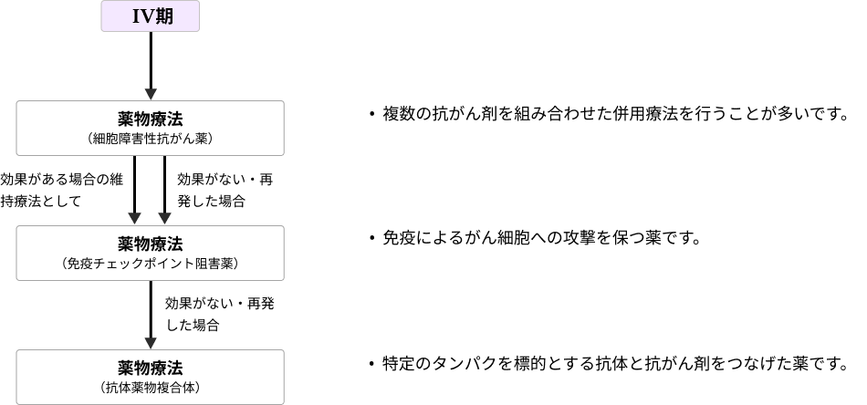 筋層浸潤性膀胱癌（IV期）の治療フローチャート。薬物療法の流れを示す